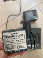 Juwel Eccoflow 300 Brandenburg - Michendorf Vorschau