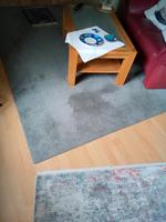 Schöner grauer Teppich Baden-Württemberg - Offenburg Vorschau