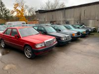 MB W201 190 Teile Schlachtfest Stoßfänger Türe Grill Haube Motor Baden-Württemberg - Oberboihingen Vorschau