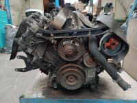 Motor ohne Anbauteile V6 2.8 Renault Espace II 2 Baden-Württemberg - Vaihingen an der Enz Vorschau