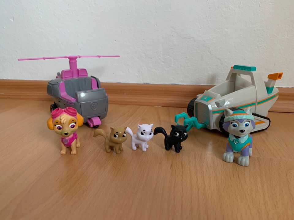 Paw patrol adventure bay animal rescue skye and everest 2025
