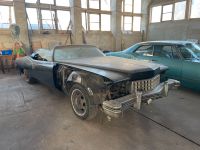 Cadillac  Fleetwood Eldorado 70-77 Sitze Innenausstattung Leder Brandenburg - Cottbus Vorschau