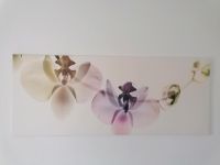 Wandbild, Bild Blume Orchidee Baden-Württemberg - Blaubeuren Vorschau