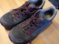 LOWA Ferrox GTX LO Ws  EU 42,5 UK 8,5 Damen Nordrhein-Westfalen - Mettmann Vorschau