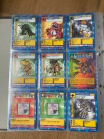 ~ Digimon ~ Sammlung von 1999 1. und 2. Serie 1st Editions Baden-Württemberg - Eisingen Vorschau