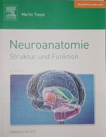 Neuroanatomie: Struktur und Funktion Bayern - Forchheim Vorschau