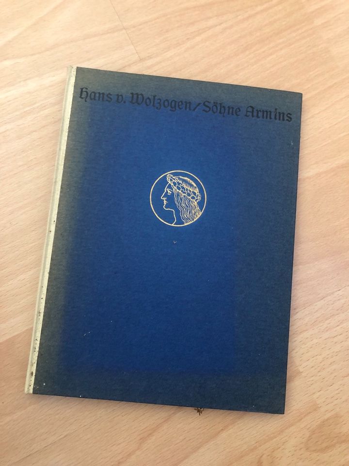 100 Jahre altes Buch Söhne Armins Antiquität in Nieheim