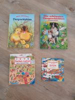 Verschiedene Kinderbücher Schleswig-Holstein - Norderstedt Vorschau