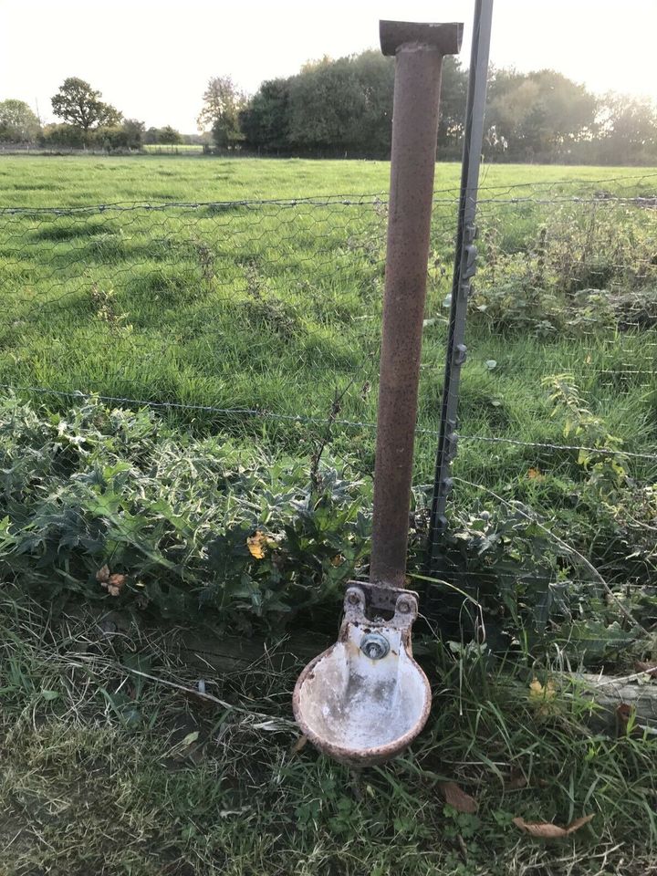 5 Alte rostige Kuh Pferde Tränken, 10 €/Stk in Winnemark