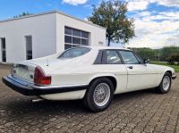 Jaguar XJS V12 Automatik BTC-Kauf Essen - Steele Vorschau