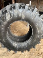 Reifen Firestone Radial 7000 Brandenburg - Wittstock/Dosse Vorschau