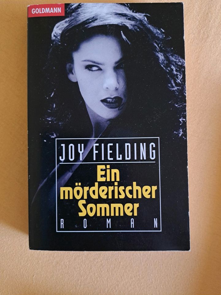 4 Bücher von JOY FIELDING in Kötz