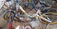 City bike mit voll gummi reifen Brandenburg - Neustadt (Dosse) Vorschau