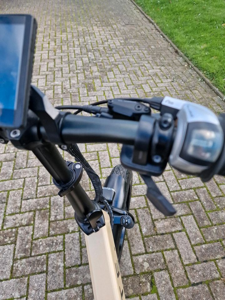 Mate x ebike 750w in Lütjenburg