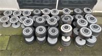 Technogym Hanteln Dumbells 4 bis 32 kg Niedersachsen - Bad Bentheim Vorschau