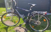 Corratec Herrenfahrrad Fahrrad Harmony 28 Zoll Baden-Württemberg - Kirchardt Vorschau