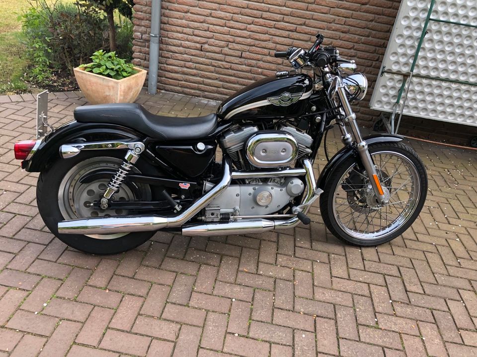 Harley-Davidson 883 Sportster XL in Gütersloh