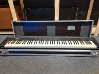 Stagepiano Korg SP100 Baden-Württemberg - Friedrichshafen Vorschau