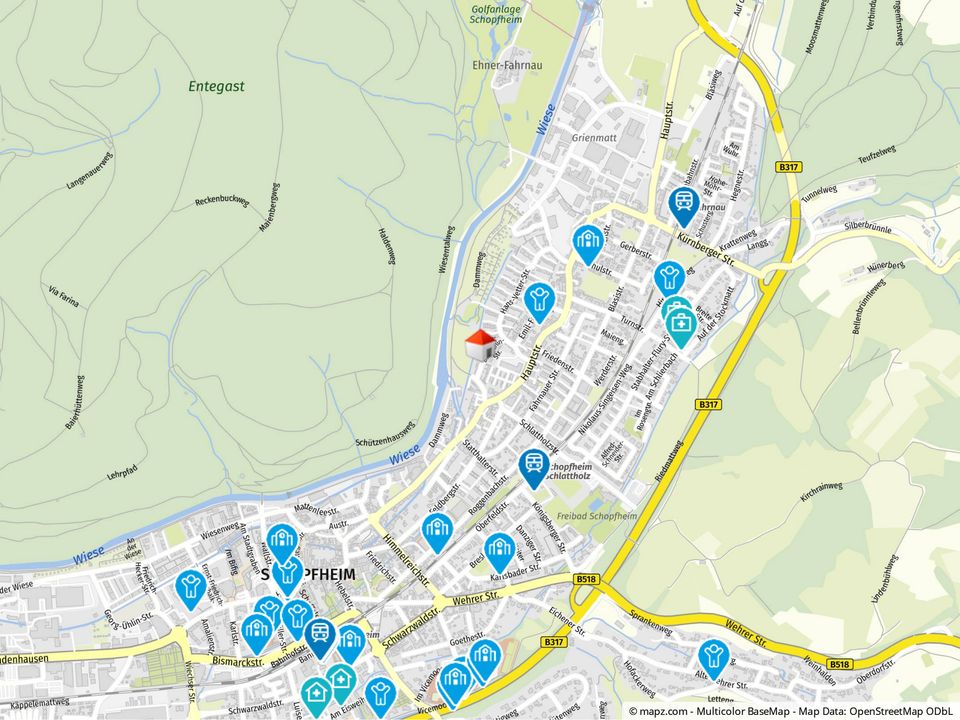 Attraktive 3-Zi. EG-Wohnung mit Garten in Schopfheim/Fahrnau in Schopfheim