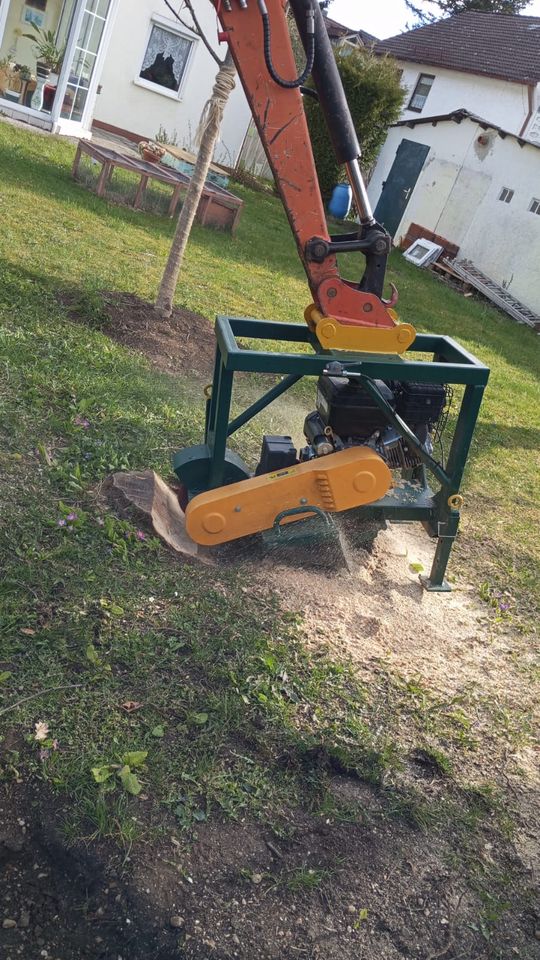 Wurzelstock entfernen / Wurzelstock fräsen Baumstumpf entfernen in Germering