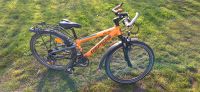 Fahrrad 24Zoll Herzogtum Lauenburg - Berkenthin Vorschau