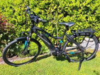 Haibike SDURO Trekking 5.0 Ebike Nordrhein-Westfalen - Borgholzhausen Vorschau