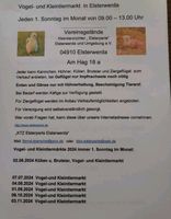 Enten Gänse Hühner Wachteln Kaninchen Vögel Brandenburg - Bad Liebenwerda Vorschau
