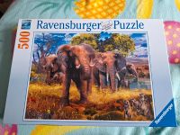 Ravensburger 500 Puzzle Elefantenfamilie Brandenburg - Ludwigsfelde Vorschau