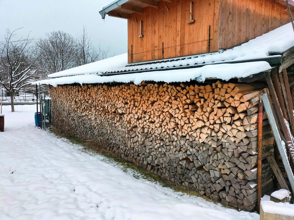 verkaufe trockenes Brennholz in Bernau am Chiemsee