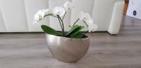 Wunderschöne Vase * Blumen * Deko * Landhaus Bayern - Weißenhorn Vorschau
