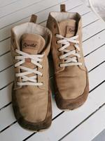 Wildling Marder 42 Barfußschuhe Bonn - Poppelsdorf Vorschau
