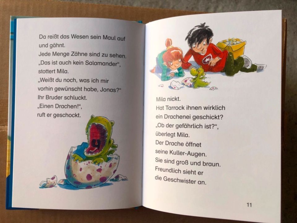 60x Erstleser  Bücherkiste Klassensatz Kinderbuch Flohmarkt in Mainz