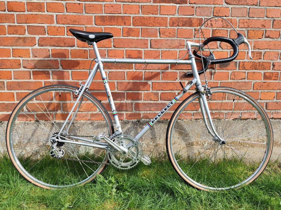 Peugeot PY-10 Vintage Retro Rennrad, Reynolds 531 Stahl, Rh 58 in Schnega