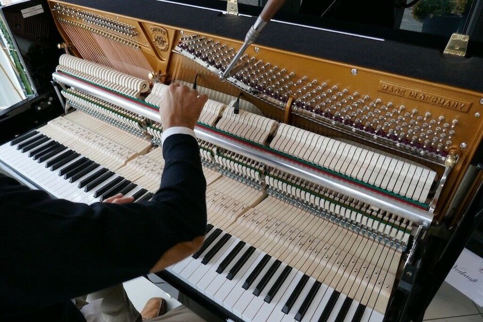 May Berlin by Schimmel Klavier inkl. Garantie u. Lieferung in Königsbrunn