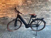 E-Bike Raleigh Liverpool Premium Damen Niedersachsen - Nordhorn Vorschau