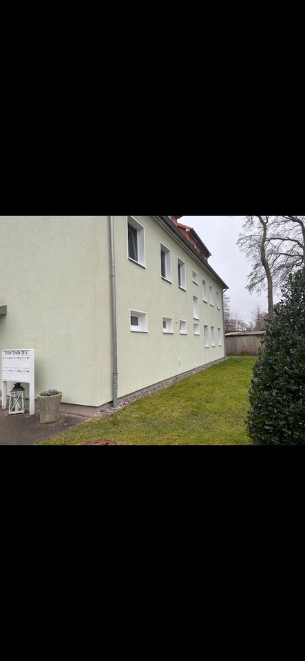 Fassadenreinigung Fassade reinigen statt streichen in Loitz (Bei Demmin)