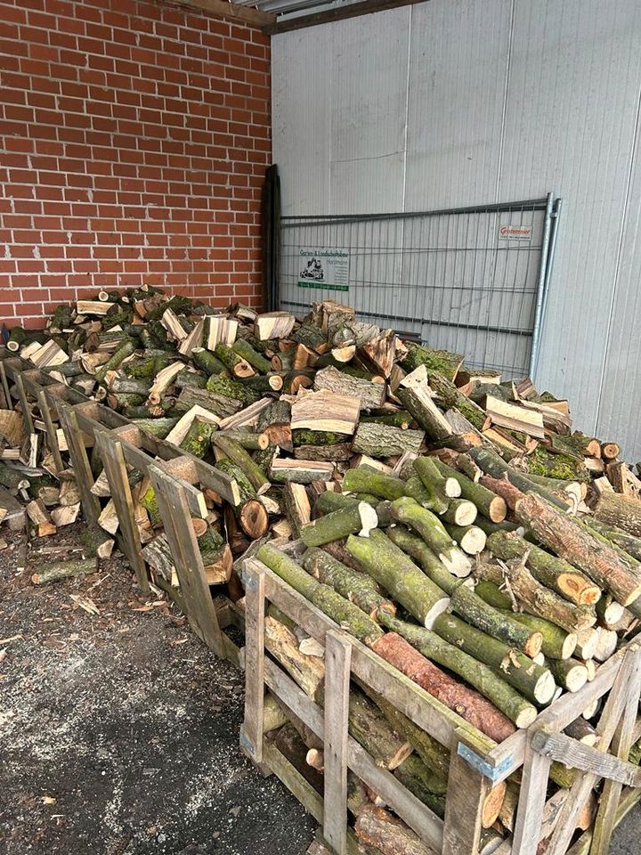 BRENNHOLZ Eiche (frisch-aufgearbeitet) gesägt/gespalten in Wagenfeld