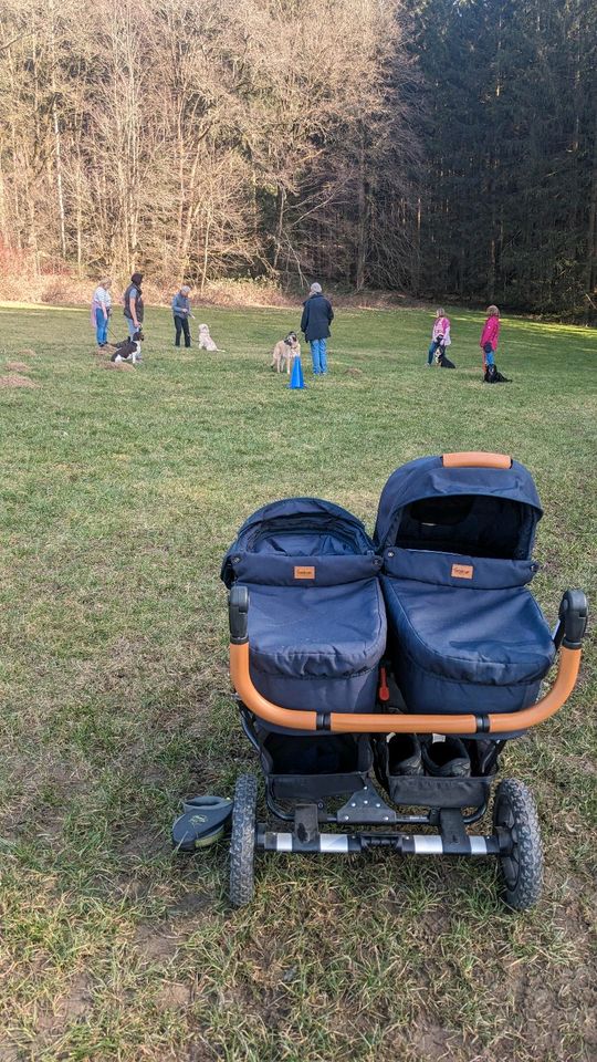 Emmaljunga double viking Zwillingswagen/ Geschwisterwagen in Kutzenhausen