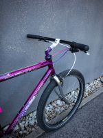 Corratec 2002 1x9 RestoMod Retro MTB Commuter Citybike Stadtrad Bayern - Bamberg Vorschau