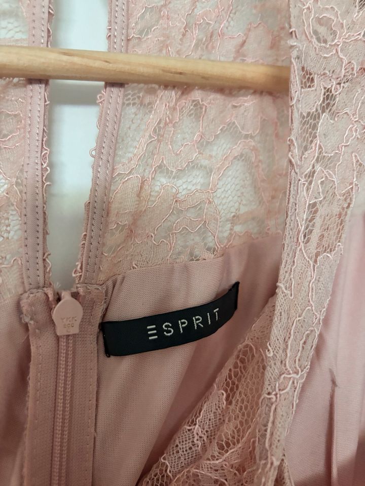 Esprit Spitzenkleid in Bad Kreuznach