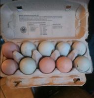Eier zu verkaufen Mecklenburg-Vorpommern - Spornitz Vorschau