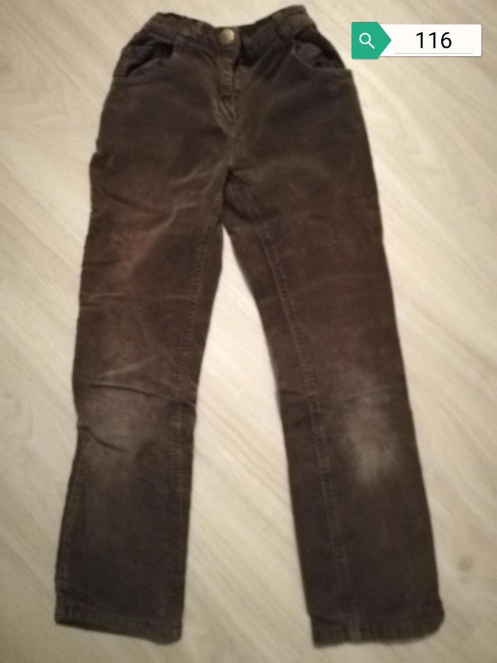 Set Hosen Feinchord Gr. 110-116 H&M Vertbaudet in Bad Gandersheim