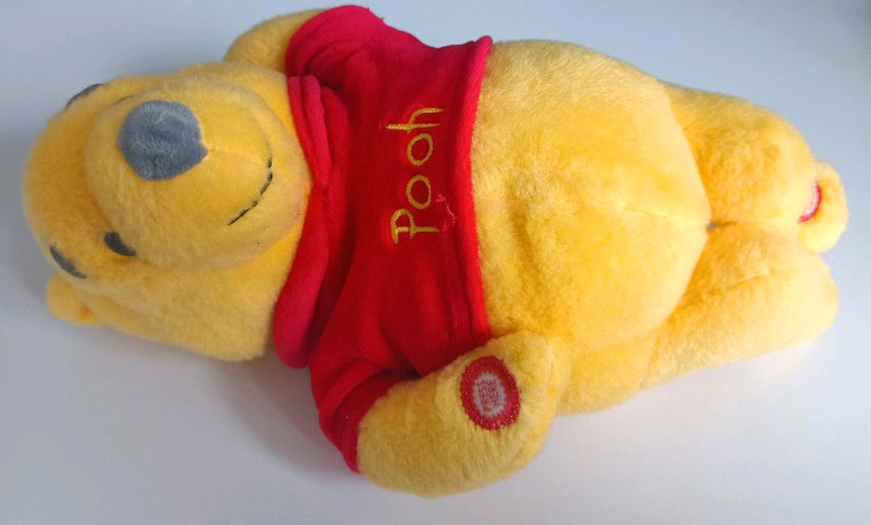 Winnie Pooh Kuscheltier mit Geräuschen/Musik in Greiz