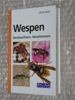 Wespen beobachten, bestimmen  -  Witt, Rolf Bayern - Olching Vorschau