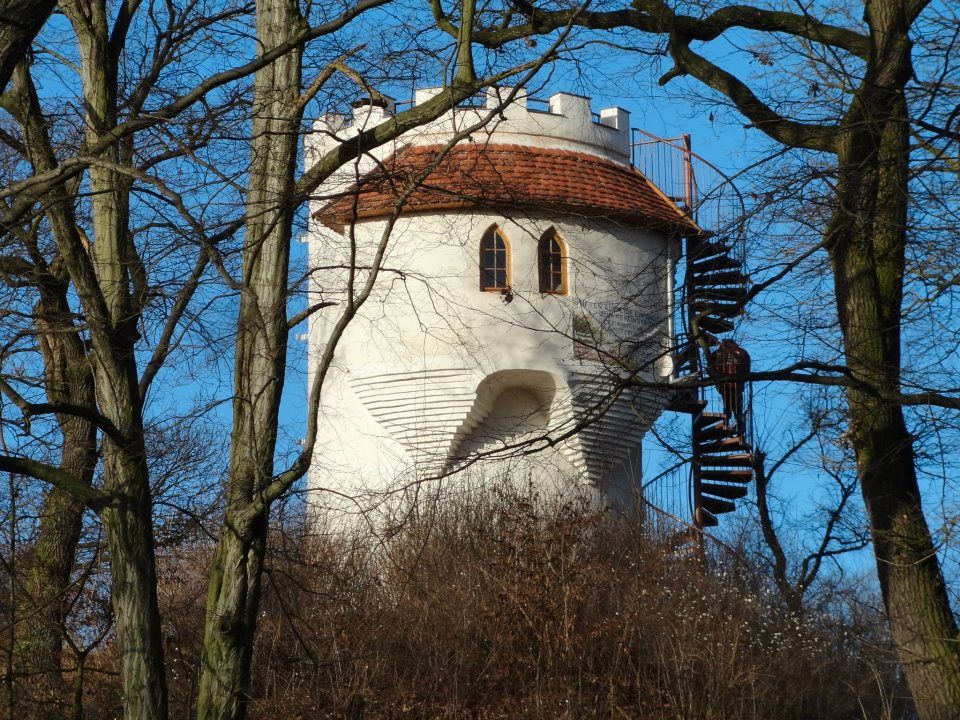 historisch Biberschwanz Dachziegel shabby chic Schindel gebraucht in Lieskau
