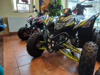 Aeon Cobra 424 Sportquadwochen!!! Sachsen - Naunhof Vorschau