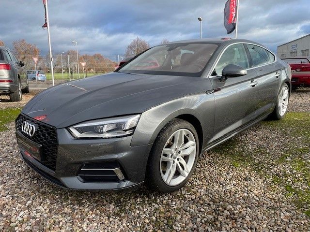 Audi A5 40 TDI Design / Bang & Olufsen / Massagesitze / LED in Oschersleben (Bode)