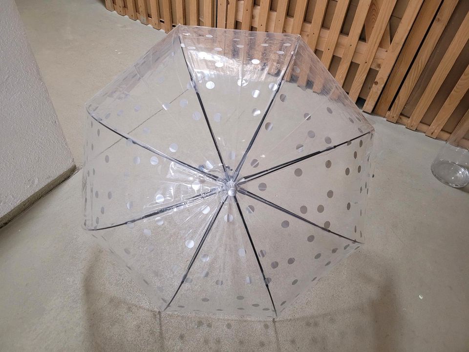 Regenschirm transparent & Punkten in Altdorf bei Nürnberg