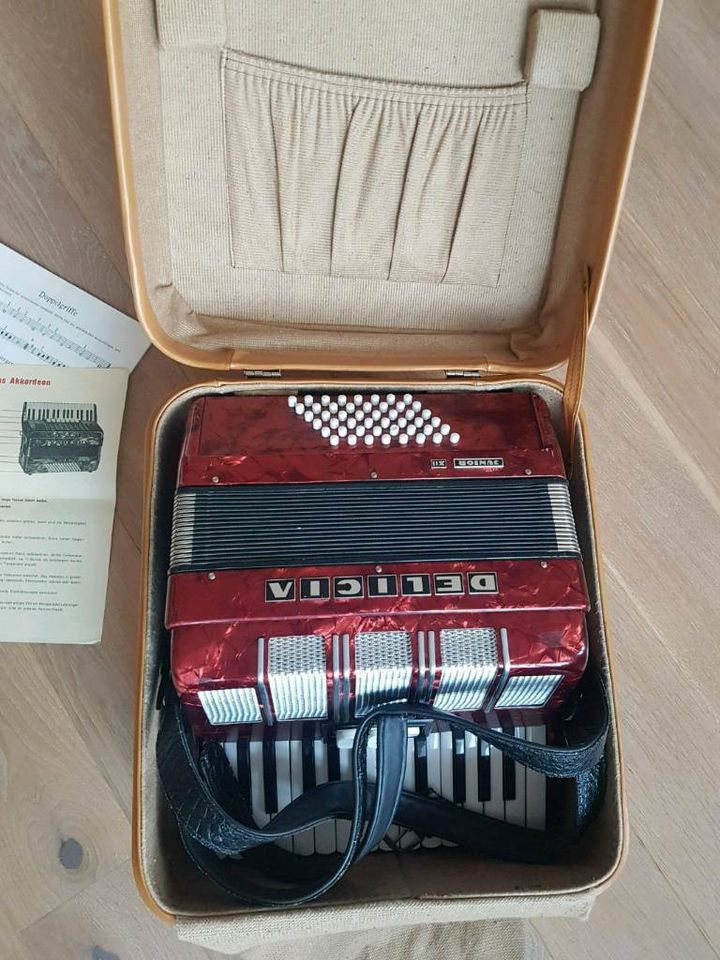 Delicia Junior XII Accordeon 48 Bässe mit Koffer und Notenheft in Lübeck