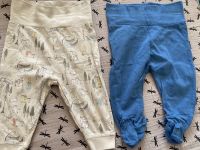 Babyhosen 62 Sachsen-Anhalt - Magdeburg Vorschau